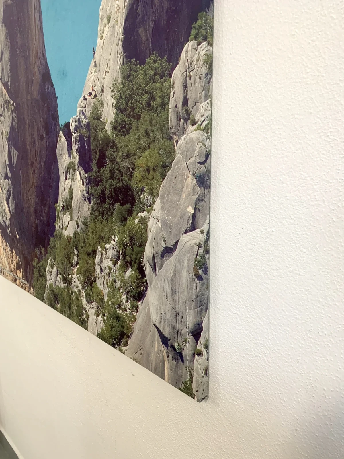 Tele Canvas